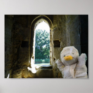 Danny Duck die Mumie Poster