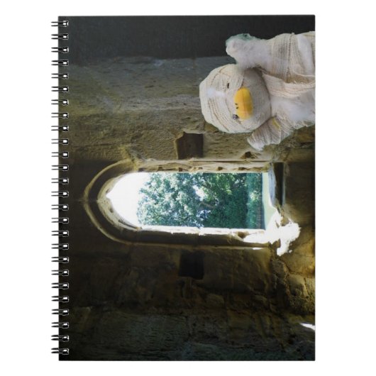 Danny Duck, die Mummy Notizblock (Vorderseite)