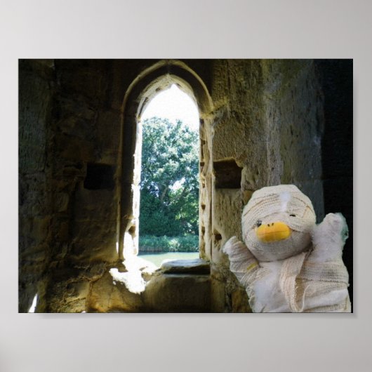 Danny Duck, die Mummy Poster (Vorne)