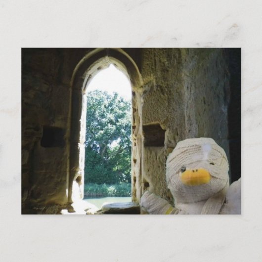 Danny Duck, die Mummy Postkarte (Vorderseite)