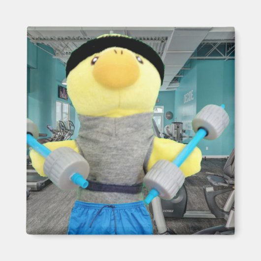 Danny Duck im Gym Magnet (Vorne)