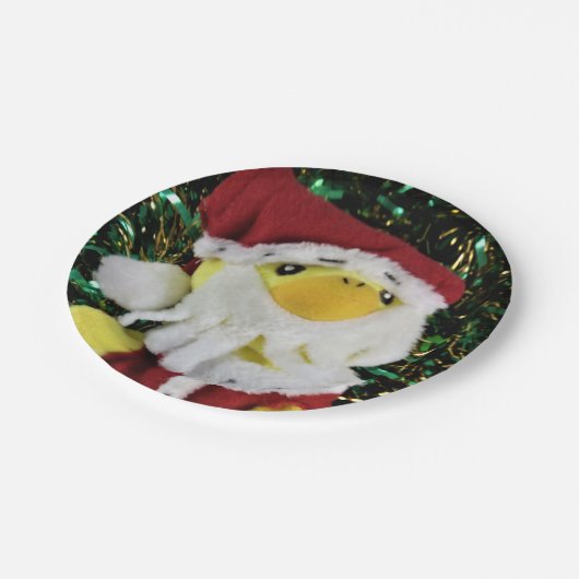 Danny Duck Santa. Pappteller (Schrägansicht)