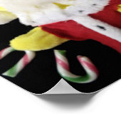 Danny Duck Santa Poster (Ecke)