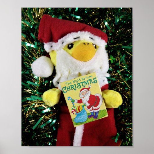 Danny Duck Santa Poster (Vorne)