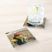 Danny Duck the Pirate Glasuntersetzer (Schrägansicht)