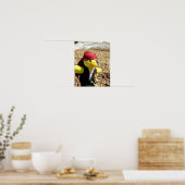 Danny Duck the Pirate Poster (Küche)