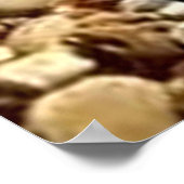 Danny Duck the Pirate Poster (Ecke)