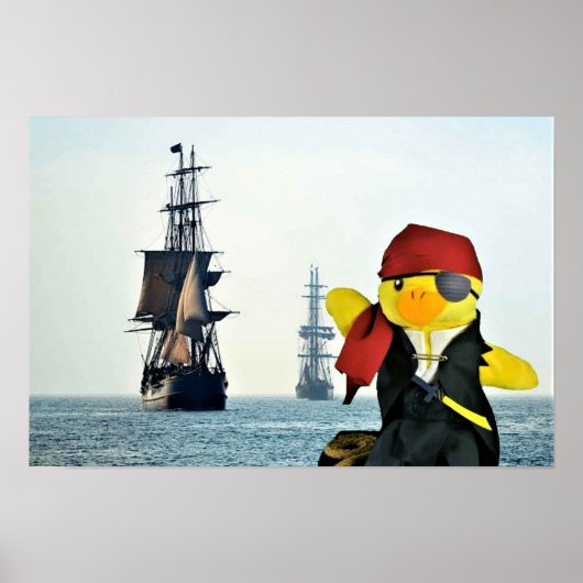 Danny Duck the Pirate. Poster (Vorne)
