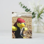 Danny Duck the Pirate Postkarte (Stehend Vorderseite)