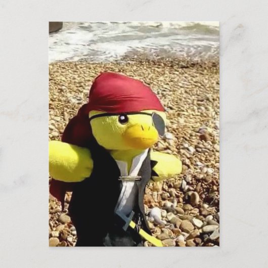 Danny Duck the Pirate Postkarte (Vorderseite)