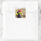 Danny Duck the Pirate Quadratischer Aufkleber (Tasche)