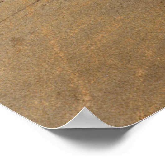 Danseuse (Dancer), Edgar Degas Poster (Ecke)