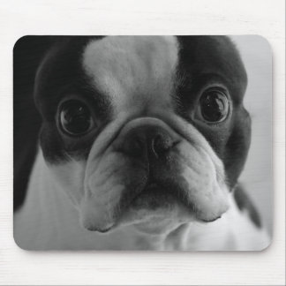 Danson Boston Terrier Mousepad