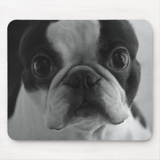 Danson Boston Terrier Mousepad (Vorne)