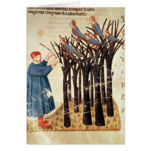 Dante und die Soule umgewandelt in Vögel
