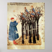 Dante und die Soule verwandelt sich in Vögel Poster (Vorne)