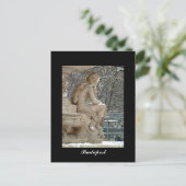 Danubius-Brunnen, Budapest Postkarte (Stehend Vorderseite)