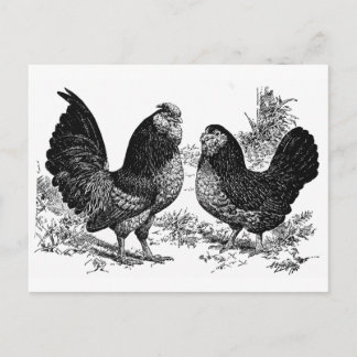 d'Anver Club Postkarte