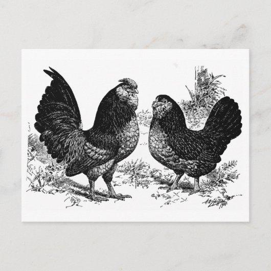 d'Anver Club Postkarte (Vorderseite)