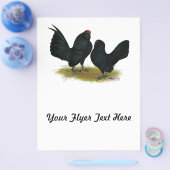 D'Anvers Black Bantams Flyer (Einzeln)