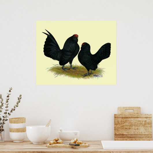 D'Anvers Black Bantams Poster (Küche)