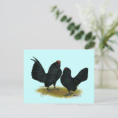 D'Anvers Black Bantams Postkarte (Stehend Vorderseite)
