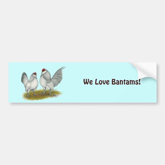 D'Anvers Self Blue Bantams Autoaufkleber (Vorne)