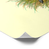 D'Anvers Self Blue Bantams Poster (Ecke)