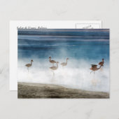 Danza de Flamencos, Salar de Uyuni, Bolivien. Postkarte (Vorne/Hinten)