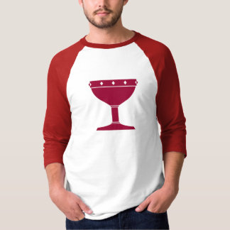 DAoC Albion - der Raglan-T - Shirt der Männer