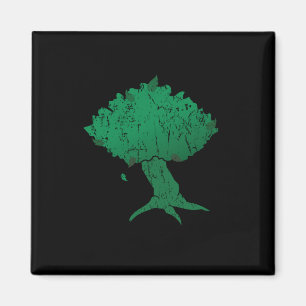 DAoC Hibernia quadratischer Magnet