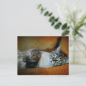 Daphne Postkarte (Stehend Vorderseite)