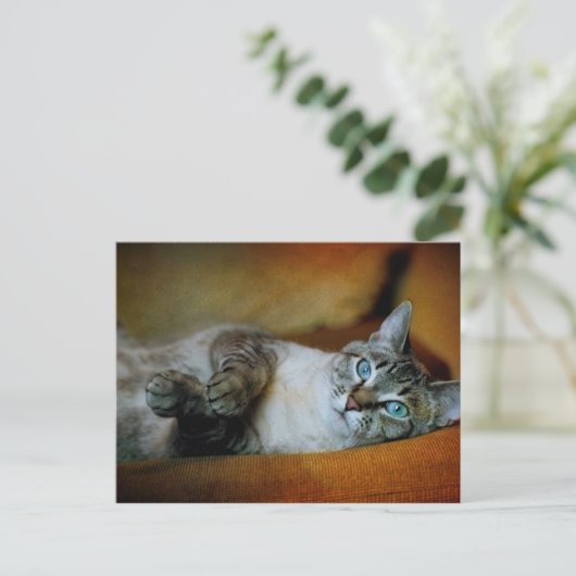 Daphne Postkarte (Stehend Vorderseite)