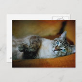 Daphne Postkarte (Vorne/Hinten)