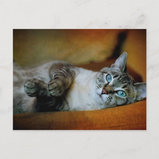 Daphne Postkarte (Vorderseite)