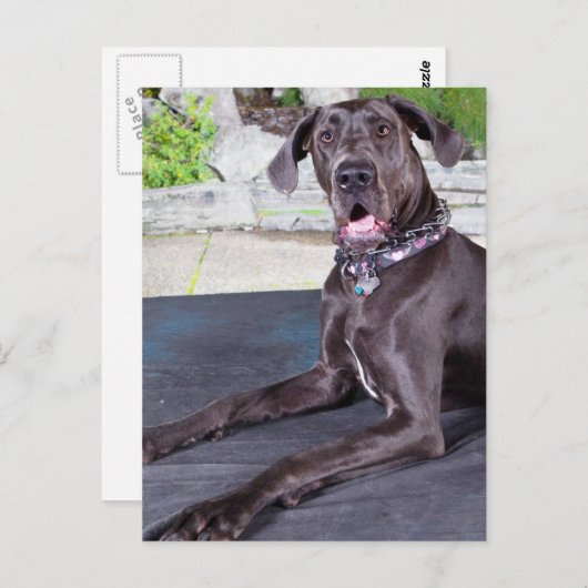 Daphne Postkarte (Vorne/Hinten)