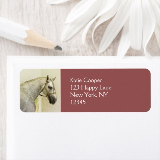 Daple Gray Andalusisches Pferd (Insitu)