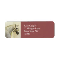 Daple Gray Andalusisches Pferd