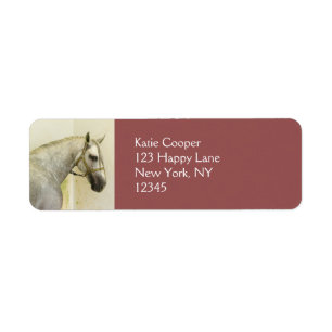 Daple Gray Andalusisches Pferd