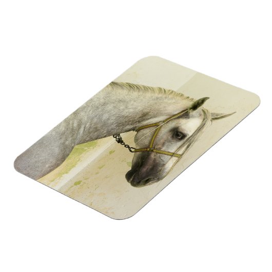 Daple Gray Andalusisches Pferd Magnet (Linke Seite)