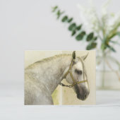 Daple Gray Andalusisches Pferd Postkarte (Stehend Vorderseite)