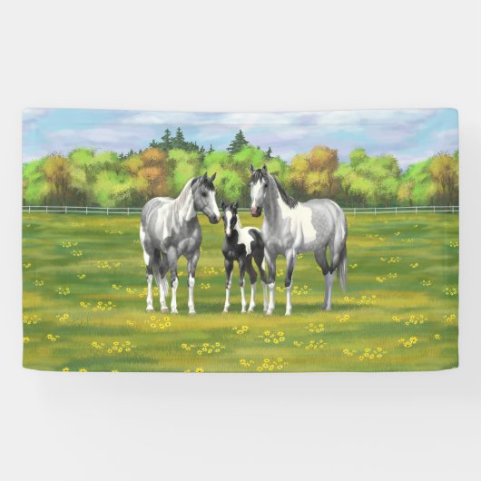 Daple Gray Pinto Paint Horses In Summer Pasta Banner (Horizontal)