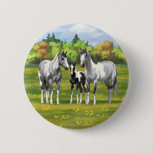 Daple Gray Pinto Paint Horses In Summer Pasta Button