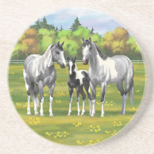 Daple Gray Pinto Paint Horses In Summer Pasta Getränkeuntersetzer