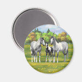 Daple Gray Pinto Paint Horses In Summer Pasta Magnet (Vorderseite/Rückseite)