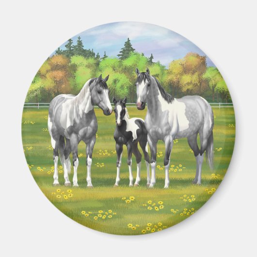Daple Gray Pinto Paint Horses In Summer Pasta Magnet (Vorne)