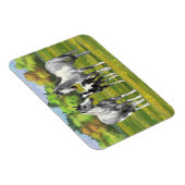 Daple Gray Pinto Paint Horses In Summer Pasta Magnet (Rechte Seite)