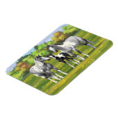Daple Gray Pinto Paint Horses In Summer Pasta Magnet (Linke Seite)