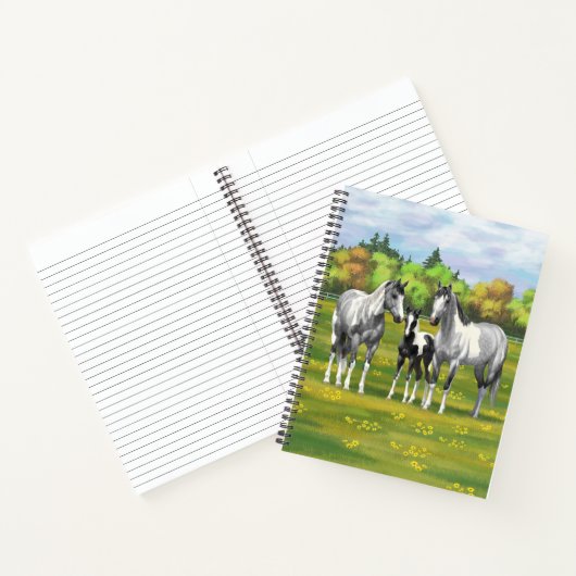 Daple Gray Pinto Paint Horses In Summer Pasta Notizblock (Innenseite)