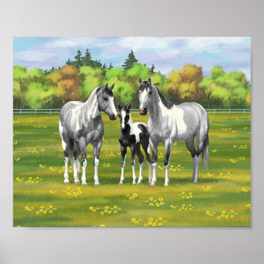 Daple Gray Pinto Paint Horses In Summer Pasta Poster (Vorne)